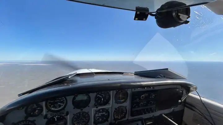 Festival General Alvear